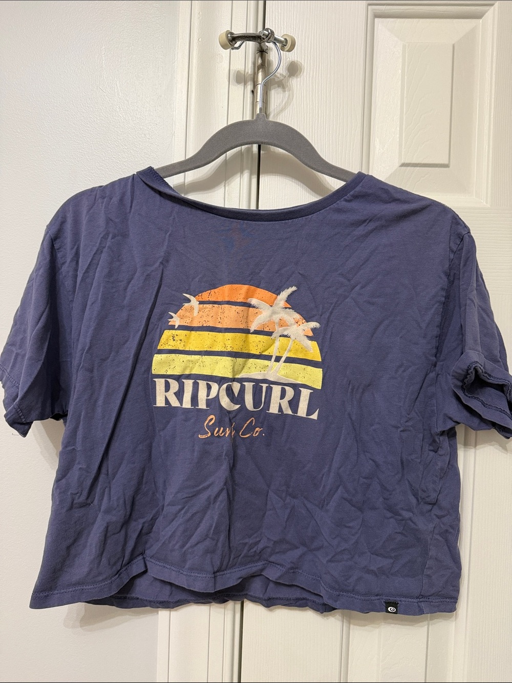 Rip Curl Navy Short-Sleeve Tee with Sunset Palm Graphic